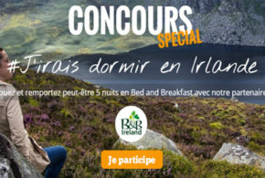 Séjour en Bed and Breakfast en Irlande