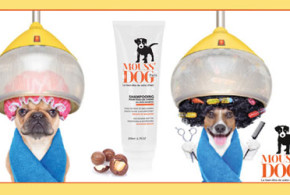 Shampooings pour chien "Mouss Dog"