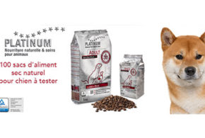 Test produit, Nourriture naturelle pour chien PLATINUM