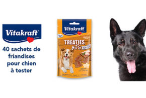 Test produit friandises pour chien Vitakraft