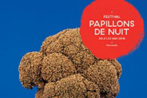 Invitations pour le festival "Papillons de nuit"