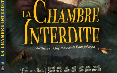 DVD du film La chambre interdite