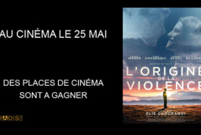 Places de cinéma pour le film "L'origine de la violence"