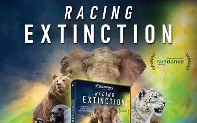 Blu-ray et DVD du film "Racing extinction"