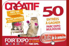 Invitations pour la Foire Expo de Mulhouse