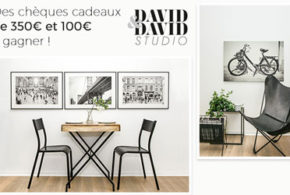 Chèque cadeau David&David Studio de 350 euros