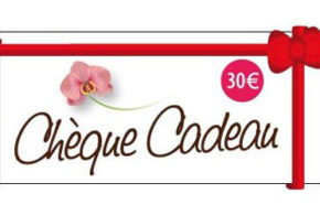 Chèque cadeau de 30 euros