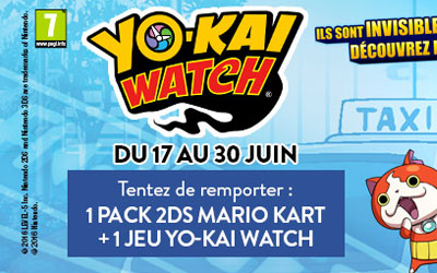 Console de jeux Nintendo 2DS Mario kart