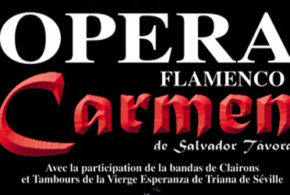 Invitations pour l'Opera Flamenco Carmen