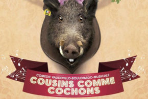 Invitations pour la pièce Cousins comme cochons