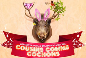 Invitations pour la pièce de théâtre "Cousins comme cochons"