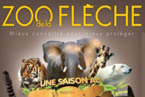 Packs famille pour le zoo de la Flèche