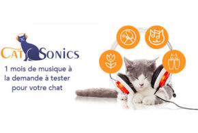Test produit, Musique pour chat CATSONICS