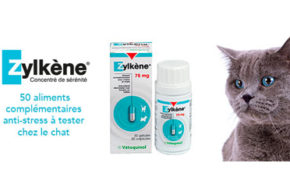 Test produit, Zylkène pour chat VETOQUINOL