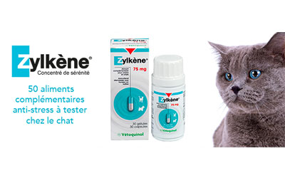 Test produit, Zylkène pour chat VETOQUINOL