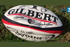 Ballon de rugby du Stade Toulousain