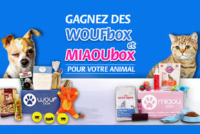 Box pour chien Woufbox