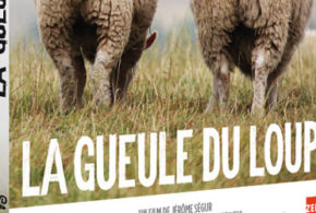 DVD du film La gueule du loup