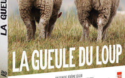 DVD du film La gueule du loup