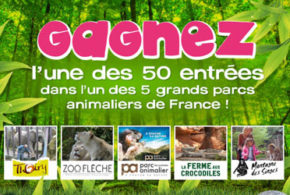 Invitations pour le zoo de La Flèche
