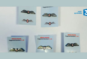 Livres Wings badge (pins) Royal Air Force