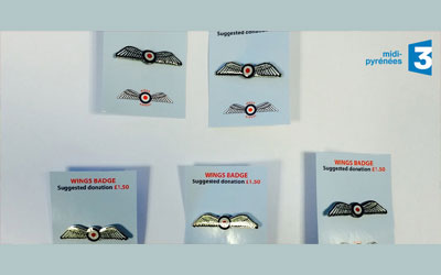 Livres Wings badge (pins) Royal Air Force