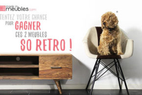 Meuble tv scandinave + fauteuil