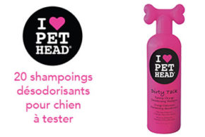 Test produit, Shampoing Dirty Talk PET HEAD