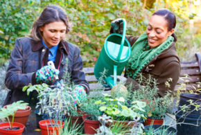 Abonnement de 6 mois à un magazine de jardinage