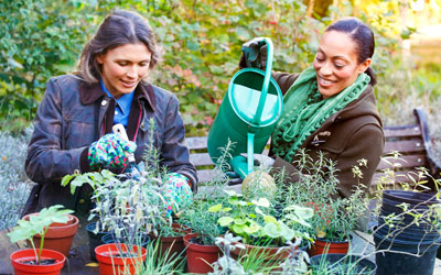 Abonnement de 6 mois à un magazine de jardinage