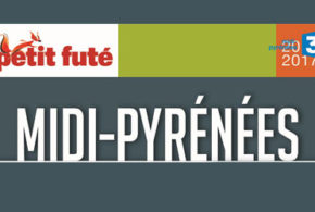 Guides Petit Futé Midi-Pyrénées 2016