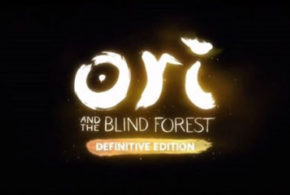 Jeu vidéo PC Ori and the Blind Forest