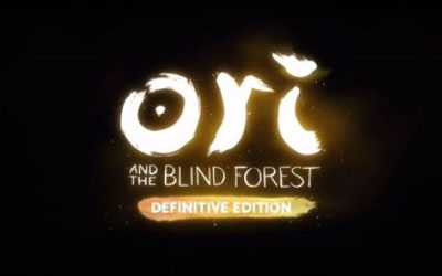 Jeu vidéo PC Ori and the Blind Forest