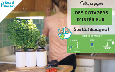 Potagers d'intérieur avec 3 aromates