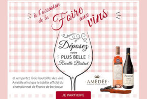 Bouteilles de vin + tire bouchon