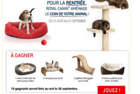 Canapé pour chat