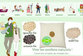 Concours gagnez des oreillers naturels en 60x60 garnis