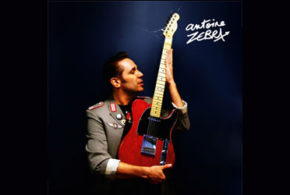 Concours gagnez 10 intégrales CD de Zebra