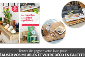 Concours gagnez 5 livres Mes meubles et ma déco en palettes