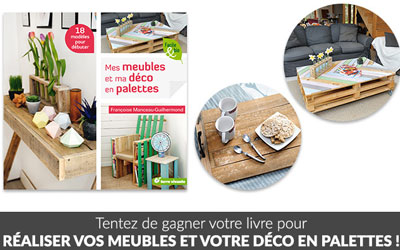 Concours gagnez 5 livres Mes meubles et ma déco en palettes