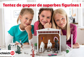 Concours gagnez des figurines Schleich