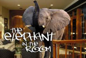 Concours gagnez des invitations pour le spectacle The elephant in the room