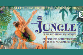 Concours gagnez des invitations pour le spectacle du BNS Jungle