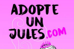 Concours gagnez des livres Adopte un Jules.com de Elisa Valentin et André Gaston