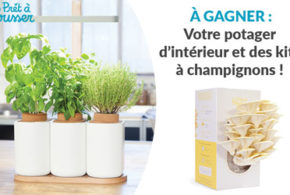 Concours gagnez 1 potager d'intérieur