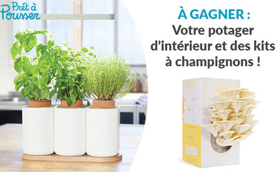 Concours gagnez 1 potager d'intérieur