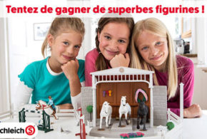 Concours gagnez 12 lots de figurines Schleich