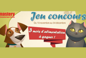 Concours gagnez 3 mois d'alimentation Mastery pour chien ou chat