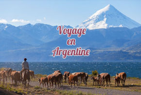 Concours gagnez un voyage de 7800 euros pour 2 en Argentine