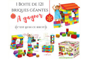 Concours gagnez une boîte de 121 briques géantes en plastique